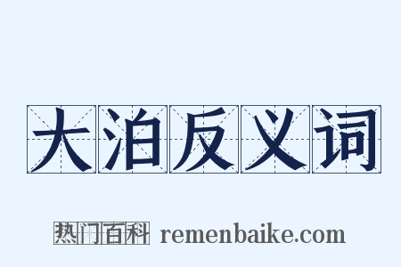 大泊反义词是什么意思的图片